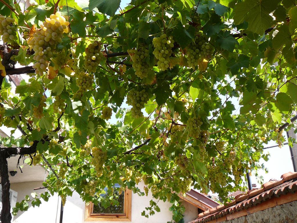 Guesthouse Argacho Sztob Kültér fotó