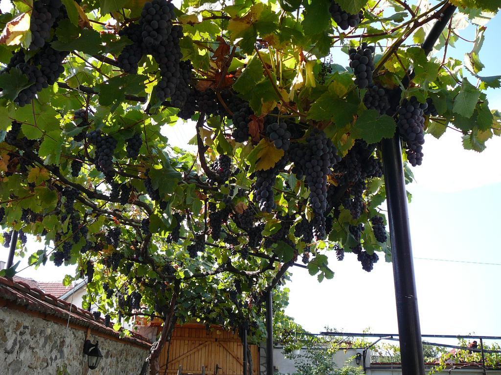 Guesthouse Argacho Sztob Kültér fotó